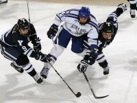 FB体育网页版-逆转奥斯曼，戈麦斯的神来一笔与奥地利的不屈之魂