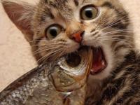 FB体育娱乐-奇才掀翻雄鹿，爱德华兹成为关键先生，改写东部格局的夜晚