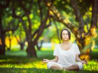 FB体育下载-温网完胜澳网，蒂姆关键制胜背后的战术革命与意志升华