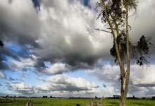 FB体育赛事-包含弗赖堡在德甲主场取得胜利，展现强大实力！的词条